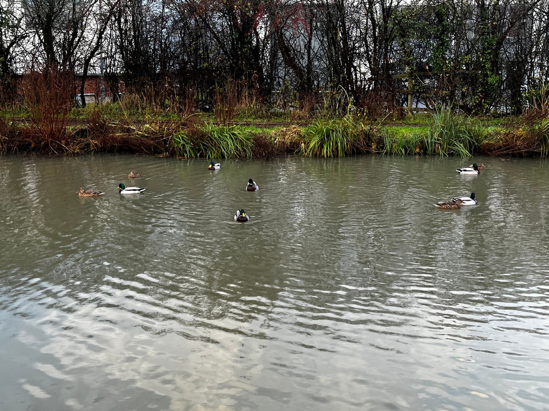 普瑞米尔欣克利酒店主图