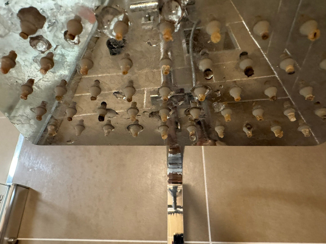 Balmoral Hotel主图