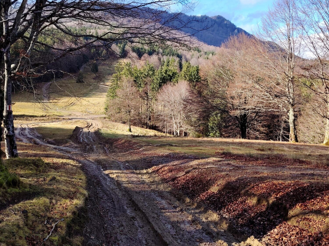 4x4 Tours-布加勒斯特必去景点