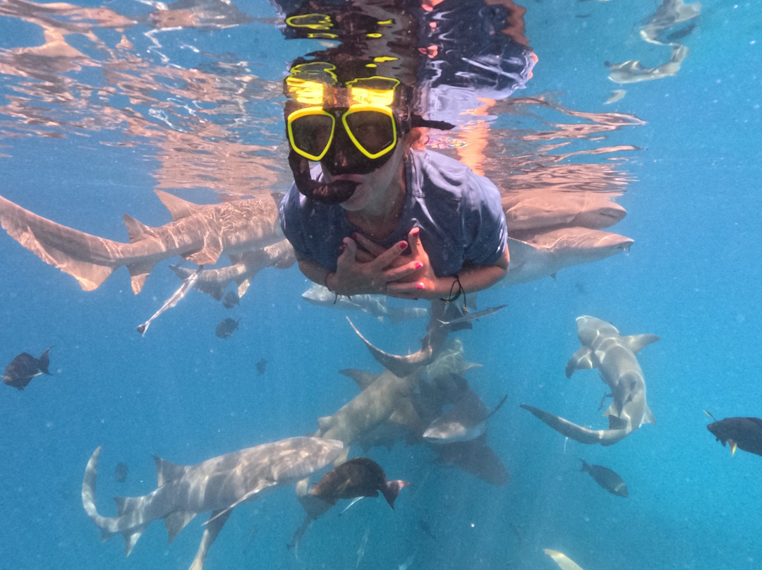 Saipe Maldives-Fulidhoo必去景点