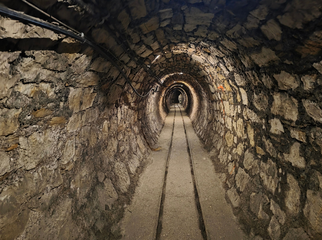 Rudnik Živega Srebra Idrija-伊德里亚必去景点