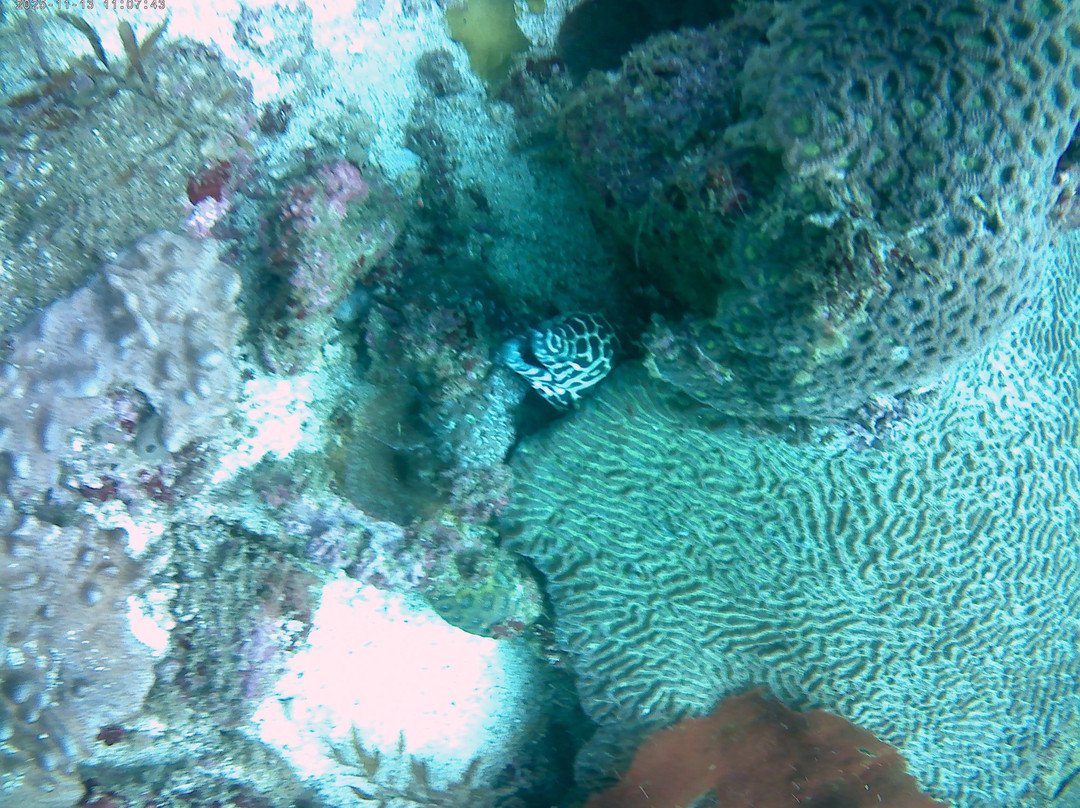 ABT Divers-塞拉莱必去景点