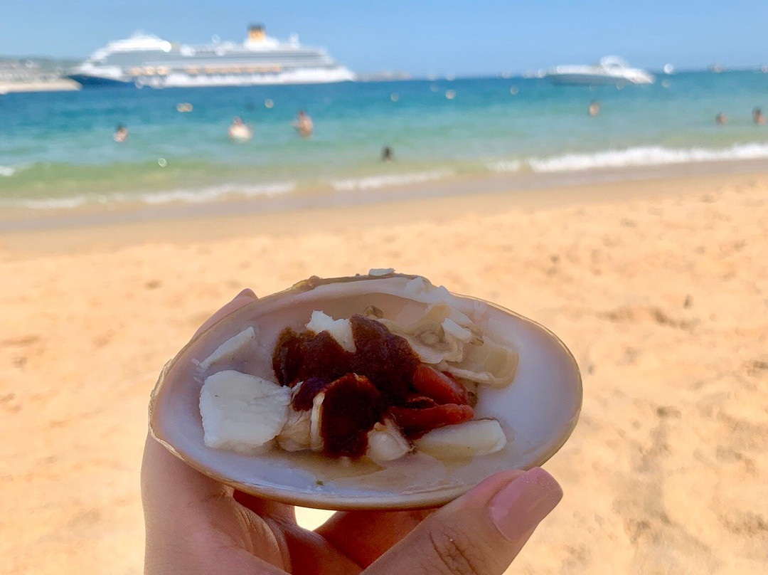 Cannery Beaches-卡波圣卢卡斯必去景点