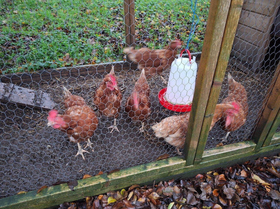 B&B Piebengastate Welsrijp主图