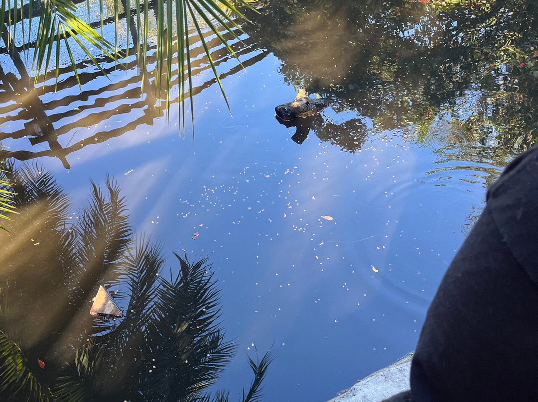 Croc Encounters-坦帕必去景点