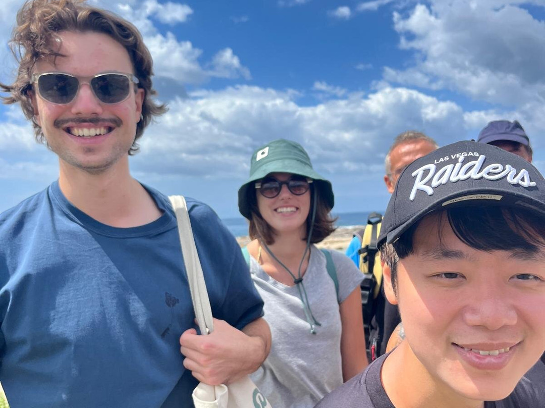 Waves Surf School-悉尼必去景点