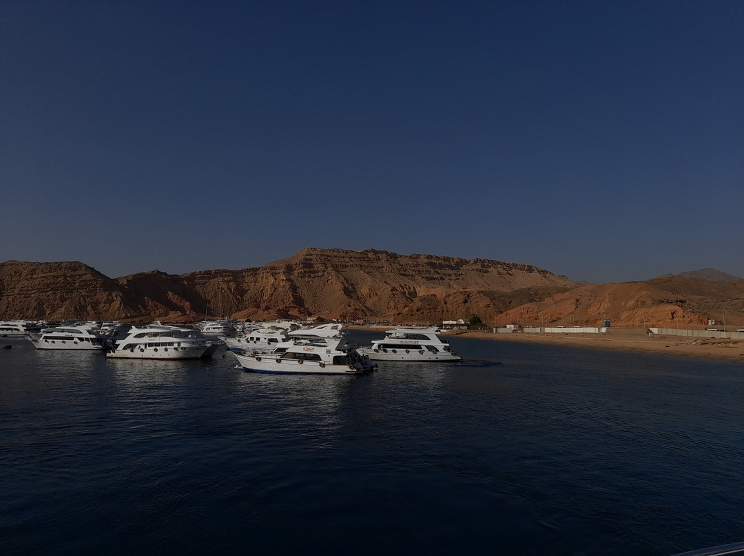 Pirates Dive Club-沙姆沙伊赫必去景点