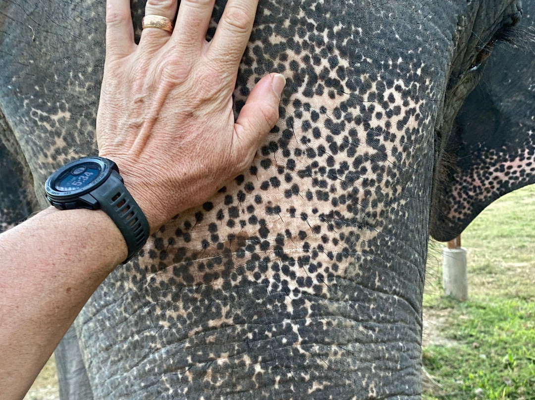 Swiss Family Treks & Expedition-加德满都必去景点