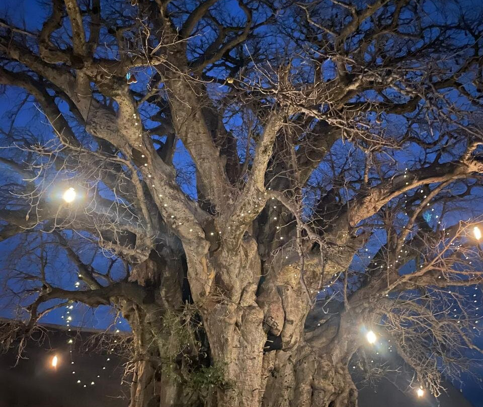 African Horizons-内罗毕必去景点