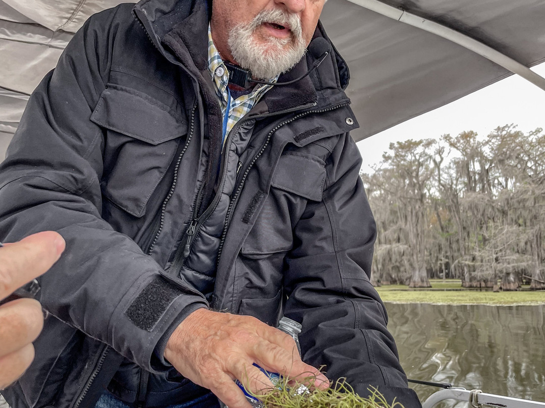 Captain Ron's Swamp Tours-Karnack必去景点