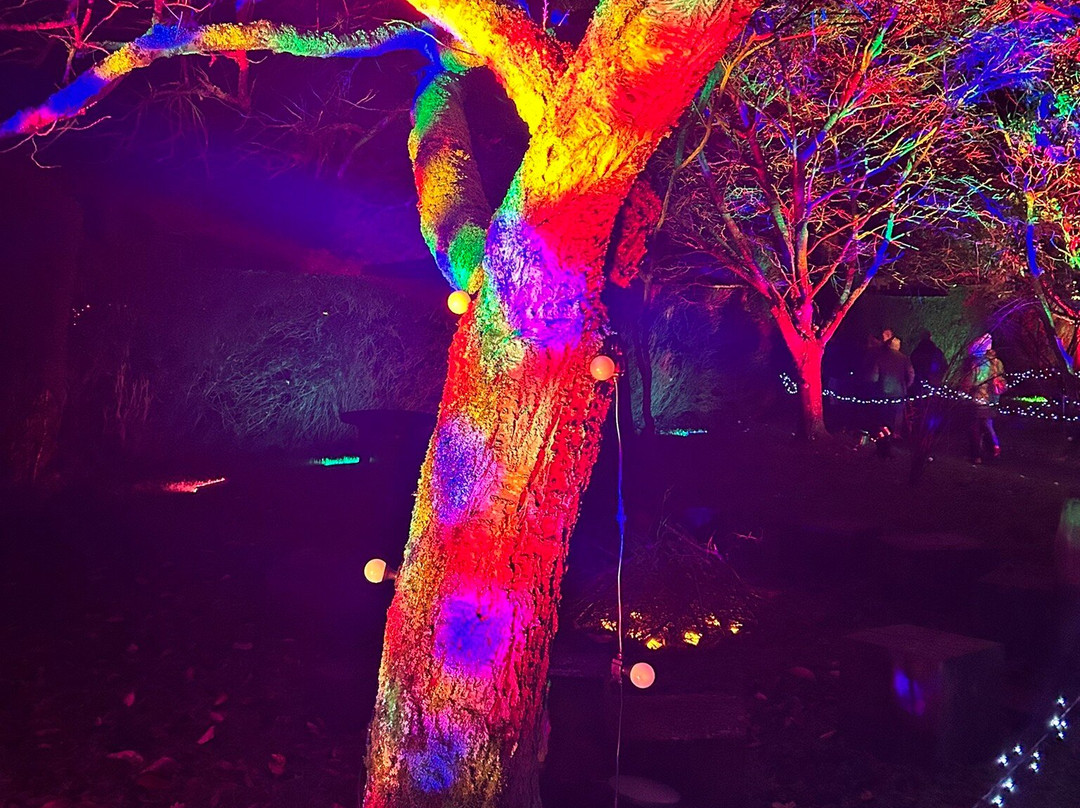 Helmingham Hall Gardens-Helmingham必去景点