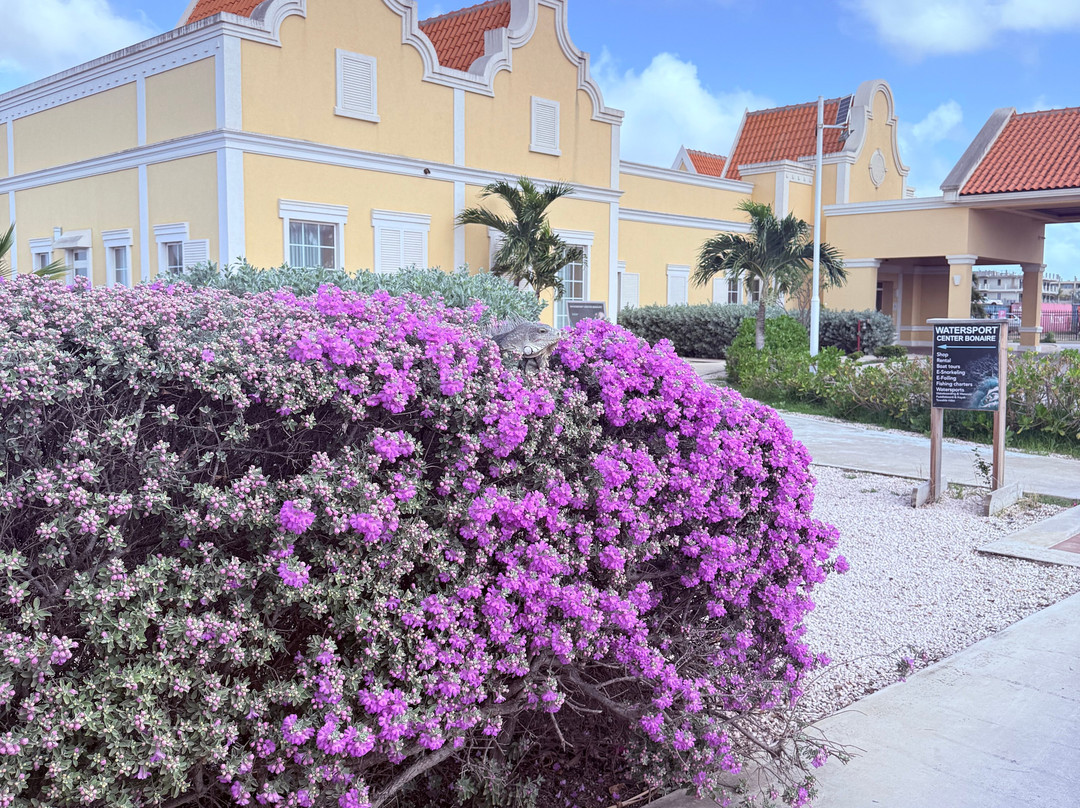 Corallium Hotel & Villas Bonaire主图