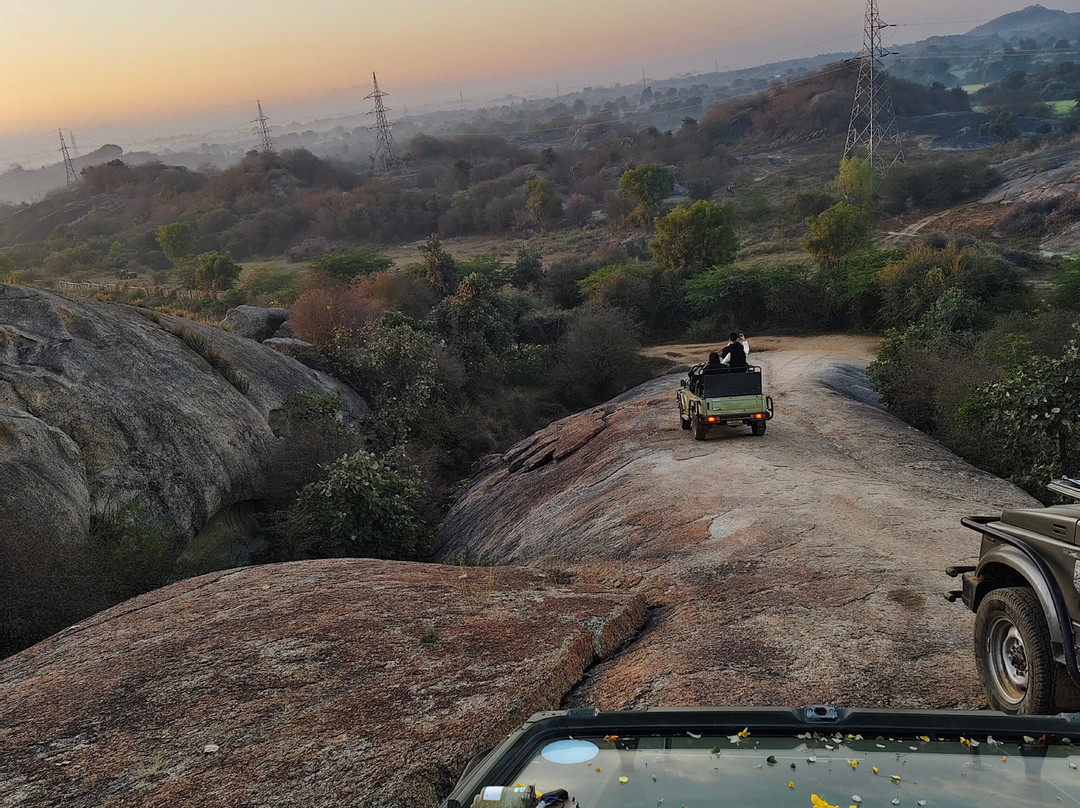 The Jawai Safari-Jawai Bandh必去景点