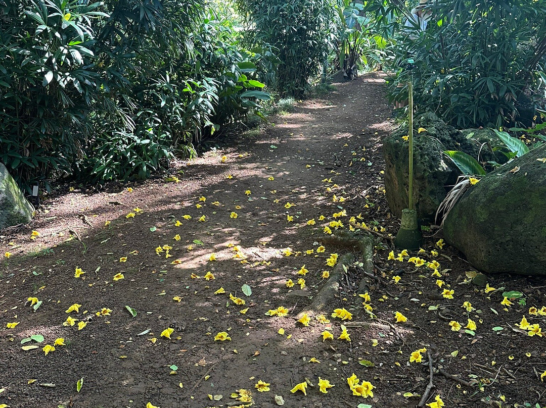麦克布莱德花园-坡伊普必去景点