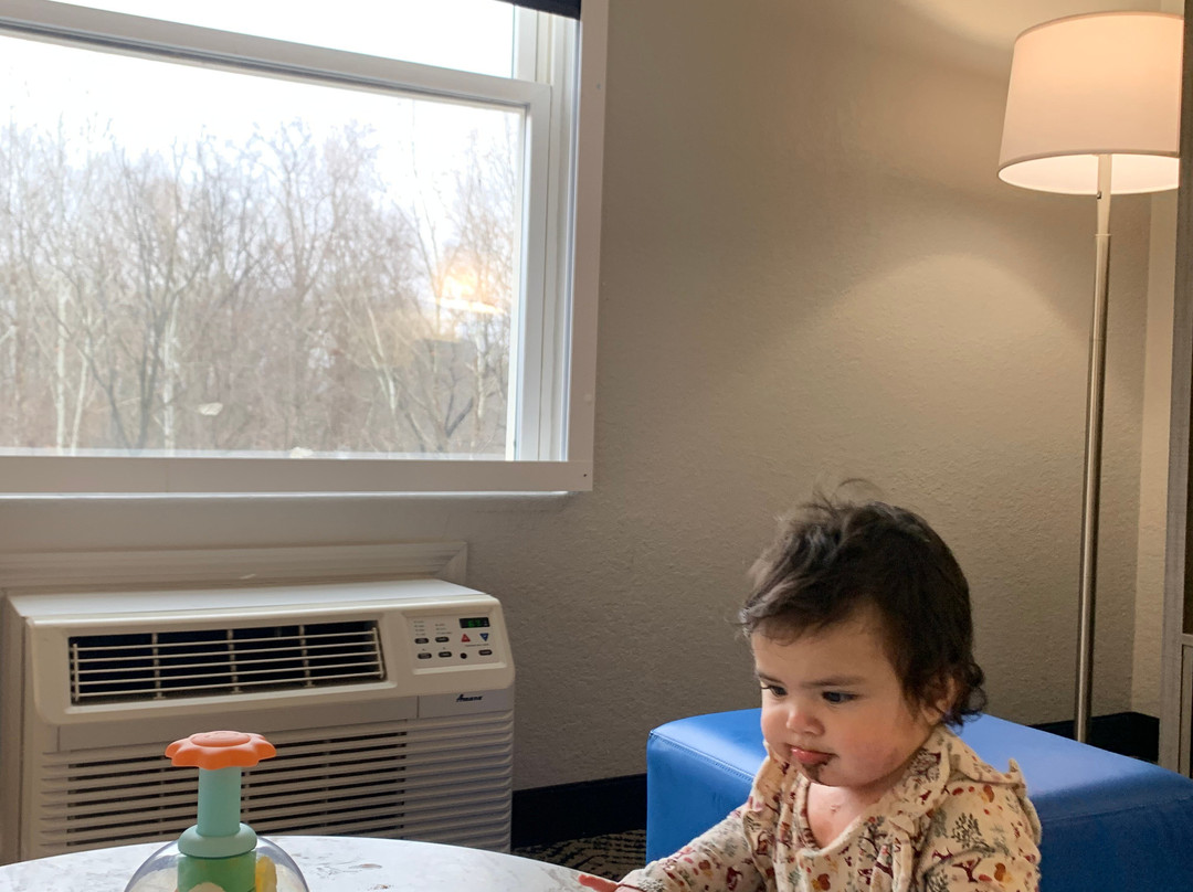 Rodeway Inn & Suites - Outlet Mall Asheville主图