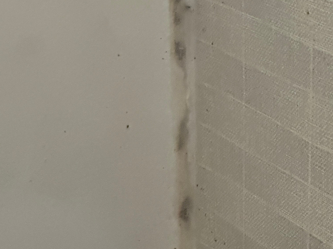 SpringHill Suites by Marriott Houston Sugar Land主图