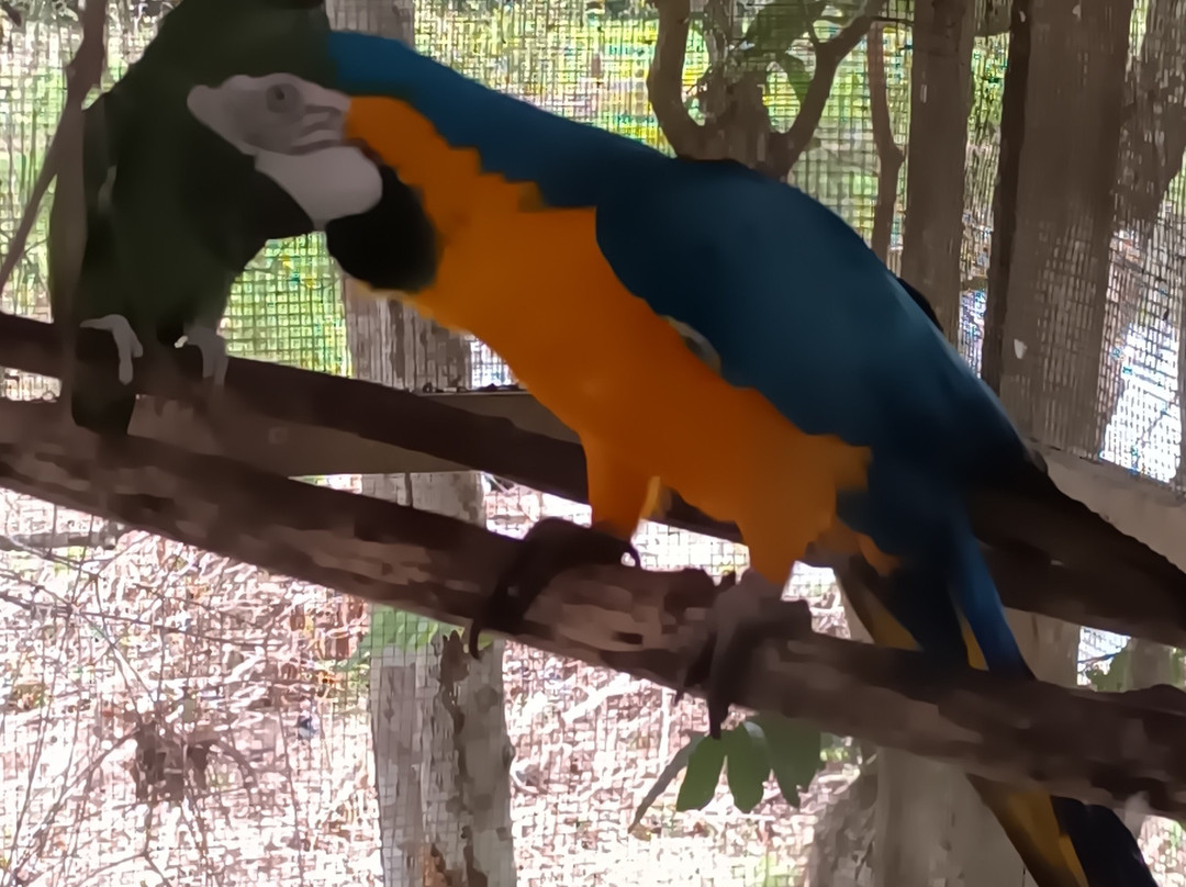 Johmer Expedition Tours-伊基托斯必去景点