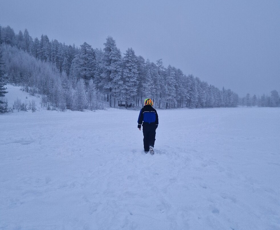 拉普兰熊之家酒店主图
