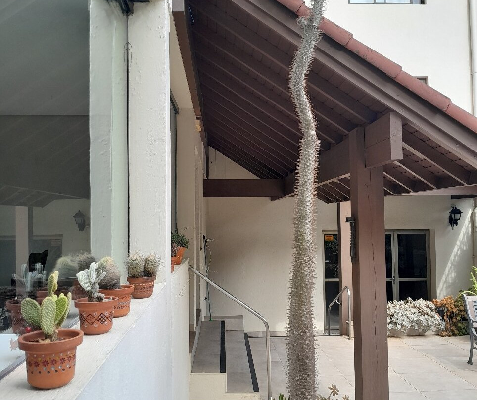 Hotel Pousada Serrana主图