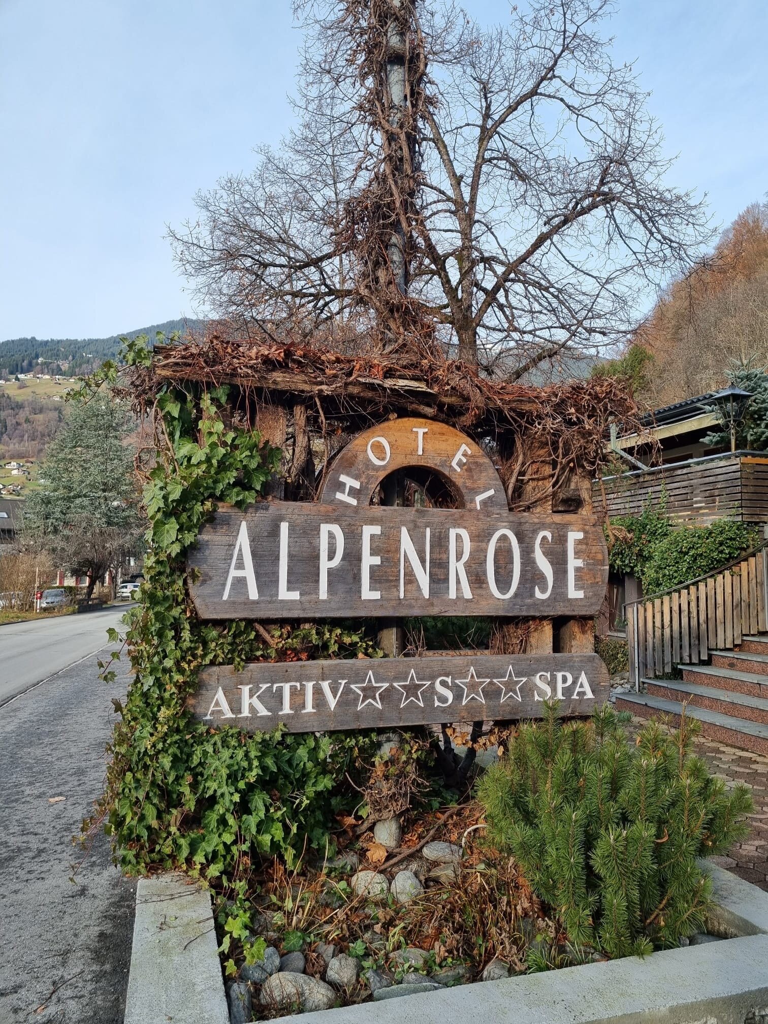 Aktiv & Spa Hotel Alpenrose-官方