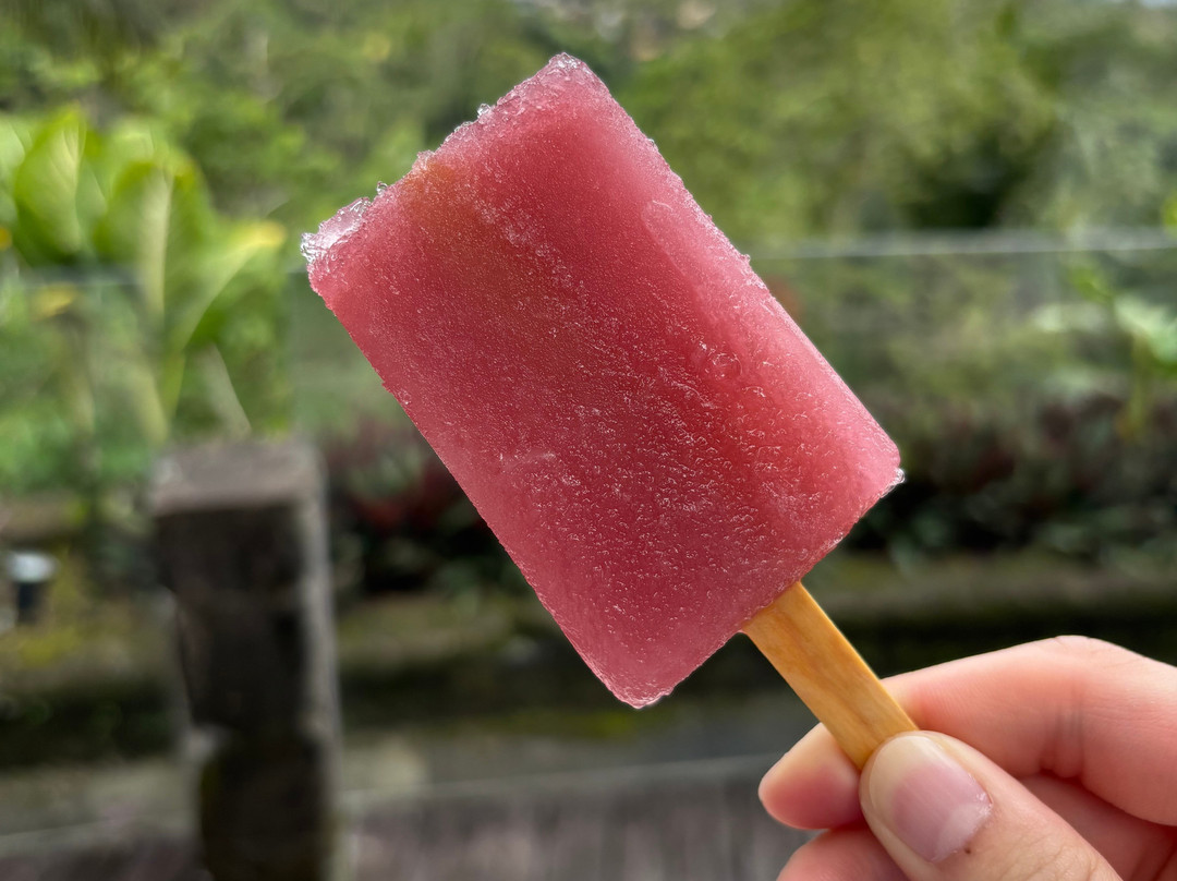 Wanna Jungle Pool and Bar-佩艳艮必去景点