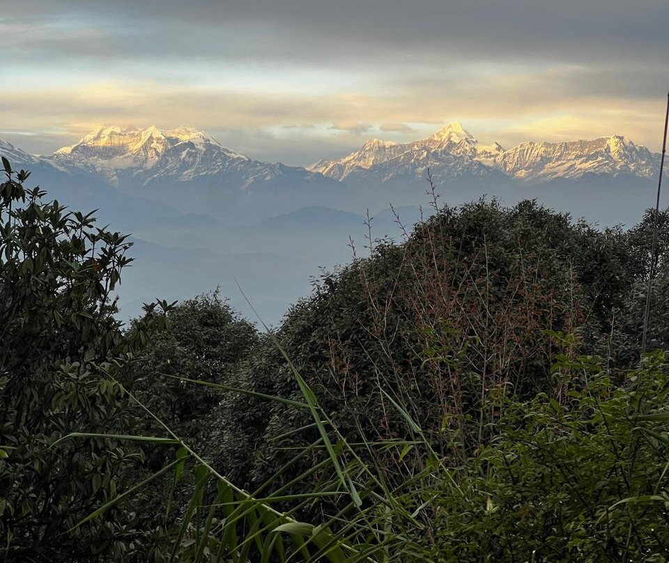 Nine Furlongs, Binsar Wildlife Sanctuary主图