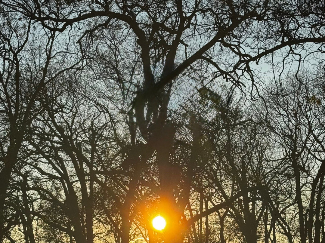 Lake Chicot State Park-Lake Village必去景点