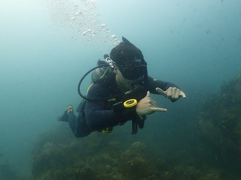 龟岛潜水-涛岛必去景点