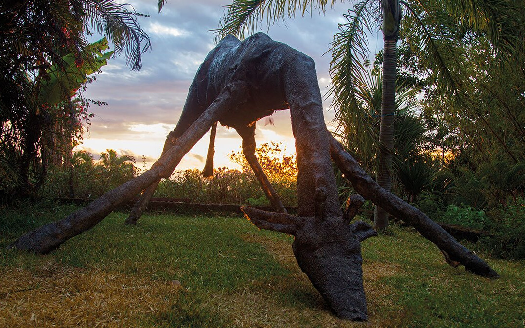 Lieu d'art Contemporain de La Reunion-留尼旺圣皮耶必去景点