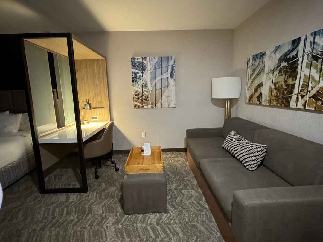 SpringHill Suites by Marriott Anaheim Placentia/Fullerton主图