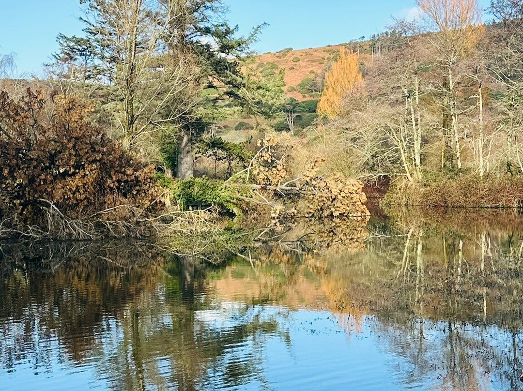 Margam Park-塔尔伯特港必去景点