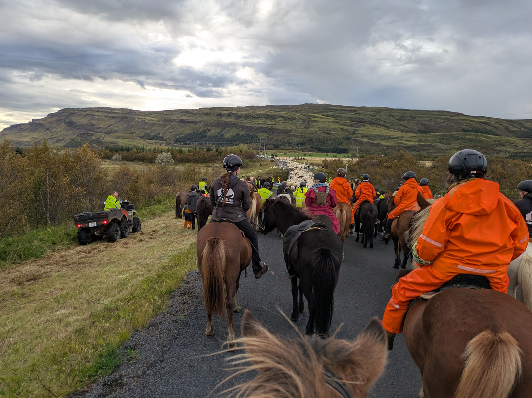 Nupshestar-塞尔福斯必去景点