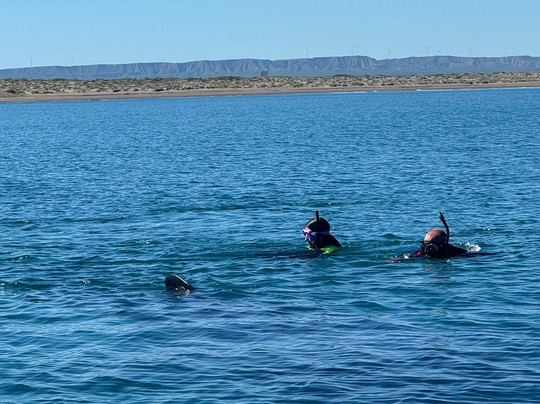 Fun Baja-拉巴斯必去景点