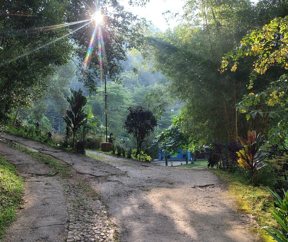 Kerala Holidays-柯钦必去景点