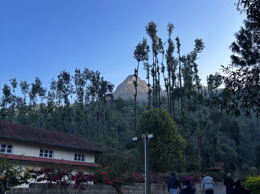 Bettadamalali Estate Homestay主图