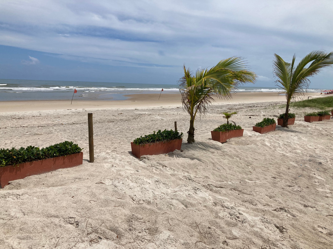 Praia Dos Milionarios-Ilheus必去景点