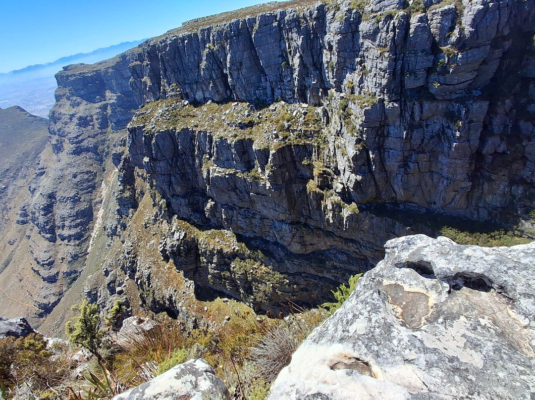 Islamic Travels and Tours-约翰内斯堡必去景点