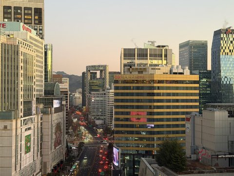首尔明洞雅乐轩酒店-酒店景观