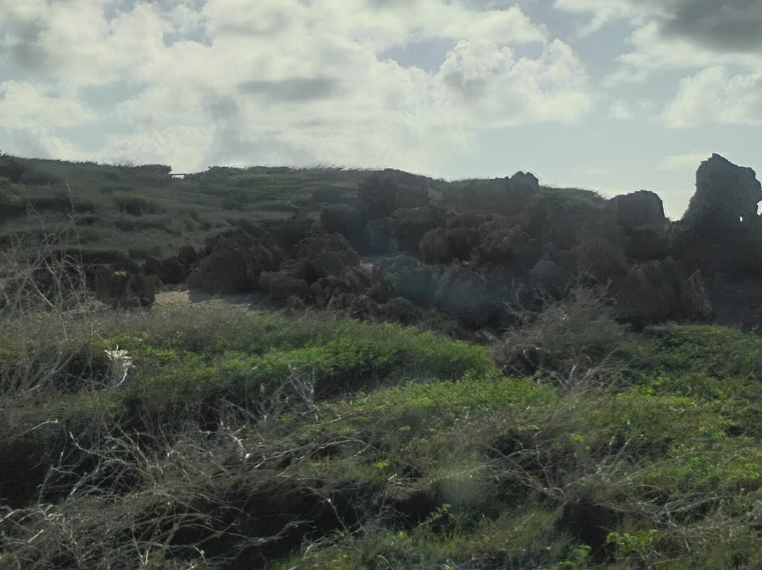 Fofoti Tours & Transfers-奥腊涅斯塔德必去景点