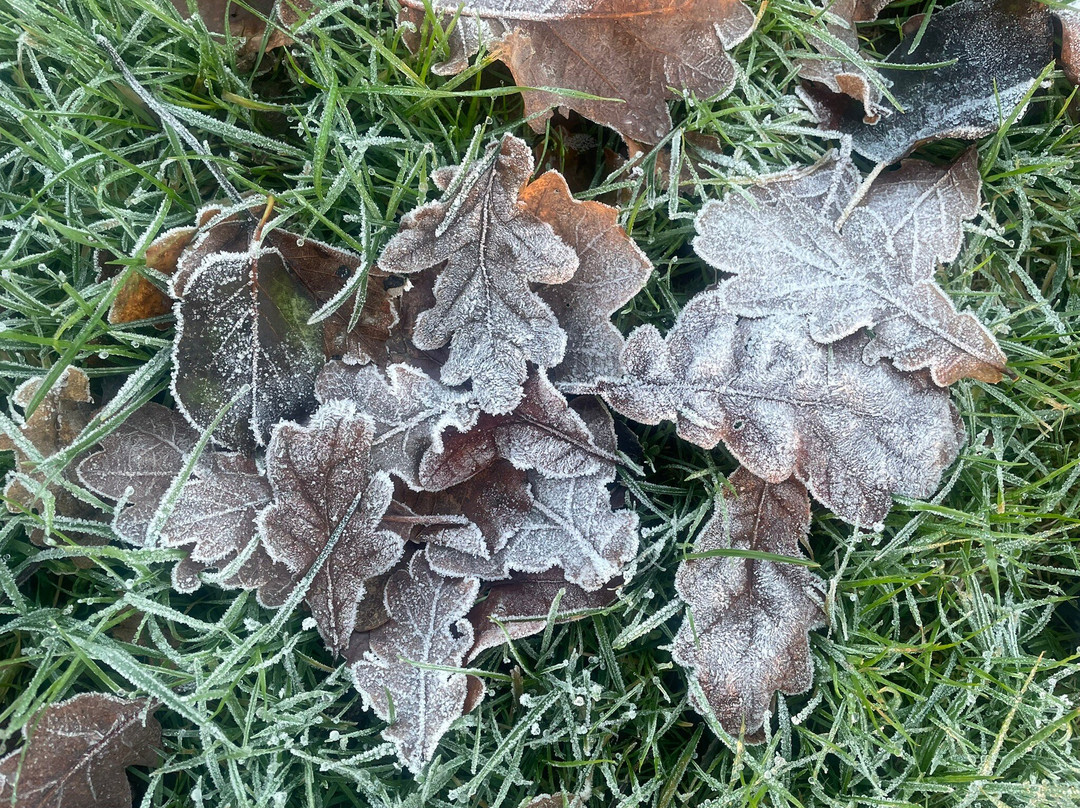 Camperdown Country Park-敦提必去景点