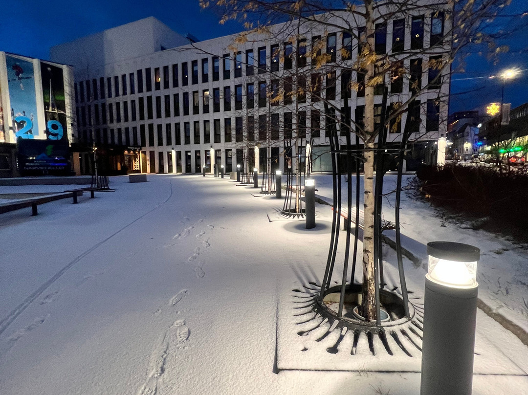 Lille Petter-纳尔维克必去景点