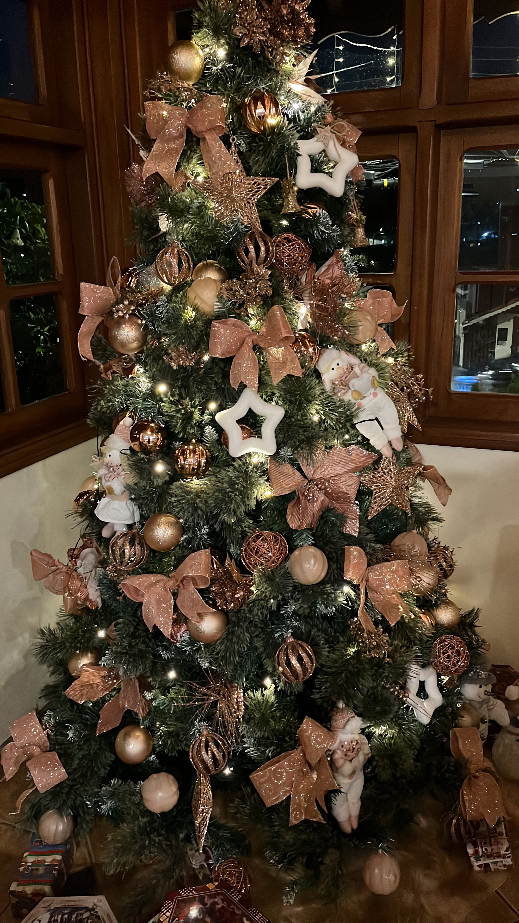 Pousada Águia Dourada-官方