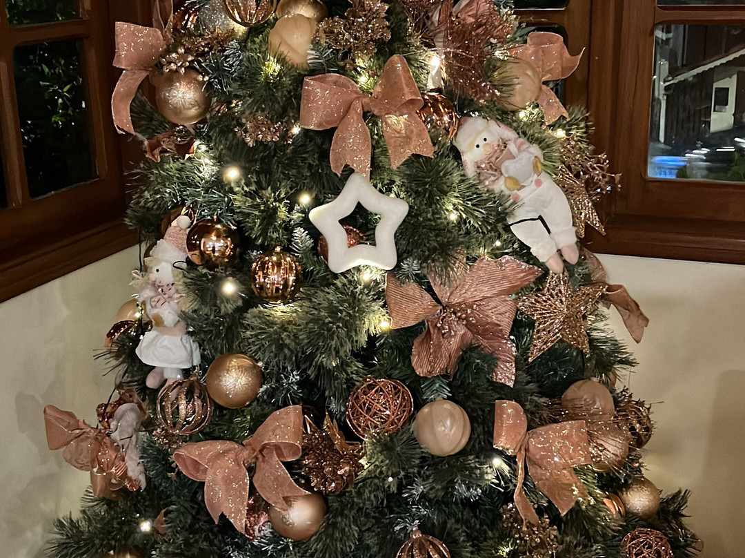 Pousada Águia Dourada主图