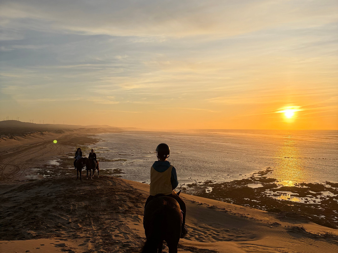 Cheval Essaouira-索维拉必去景点