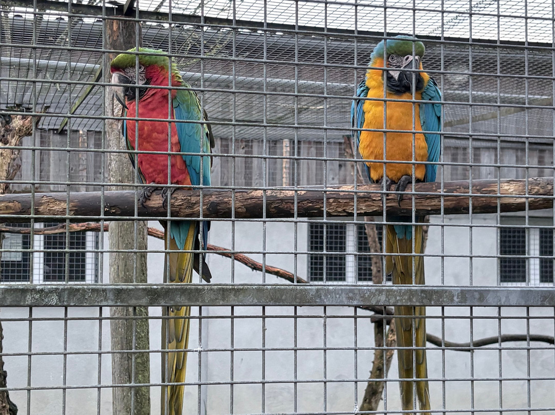Rendez-vous en Terre Animale-Sury-aux-Bois必去景点