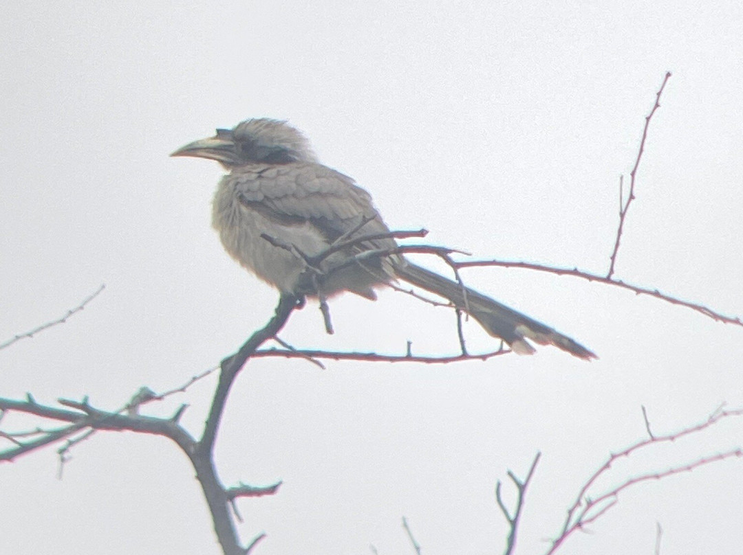 Bharatpur Bird Sanctuary-巴拉特浦必去景点