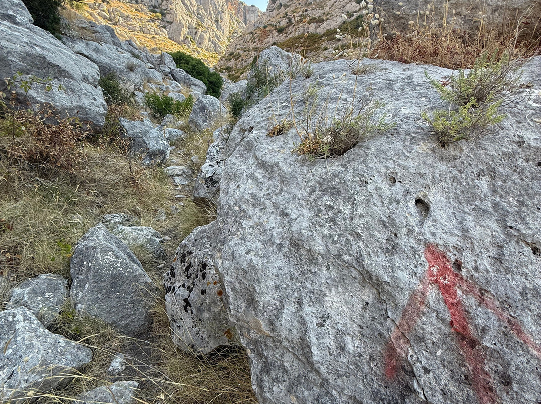 Santuario Madonna di Lourdes-Pulsano必去景点
