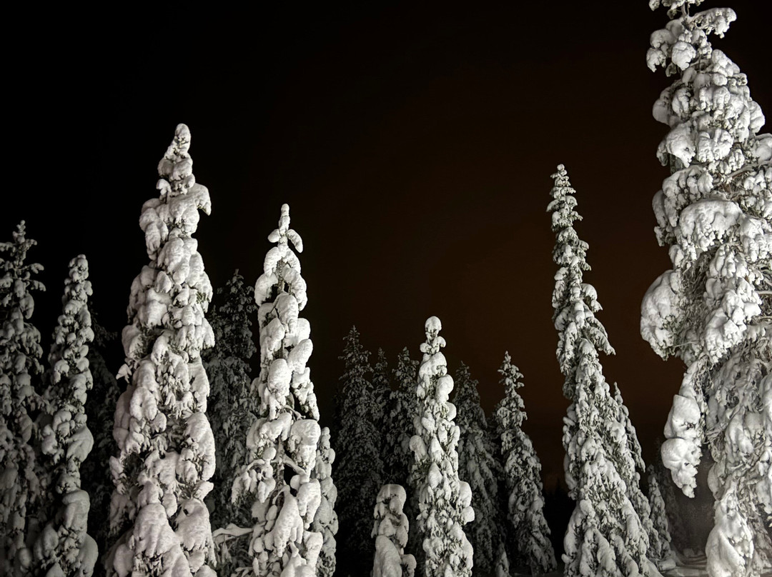 Ylläs Experiences-Akaslompolo必去景点