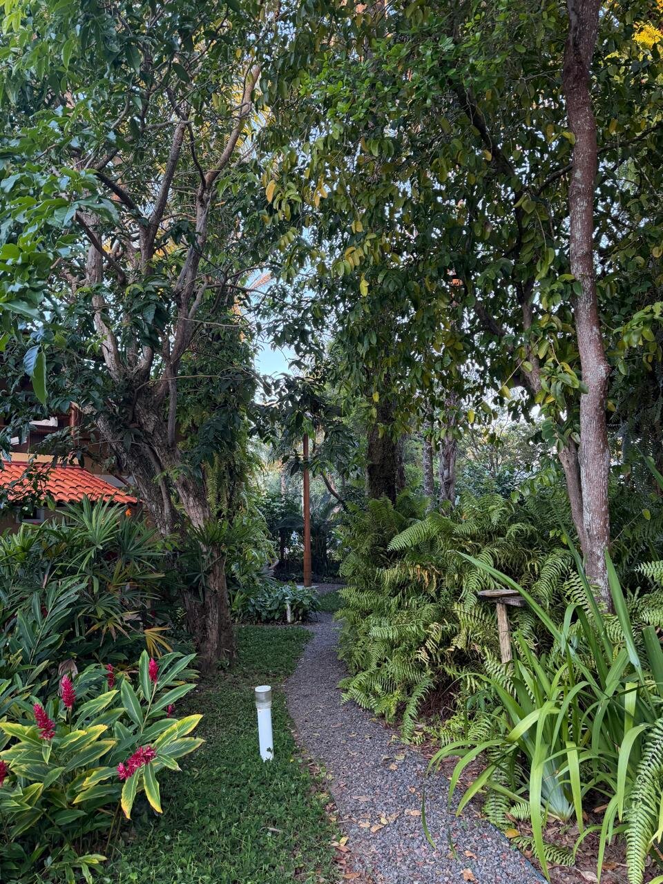 Espaço do Sagui-官方