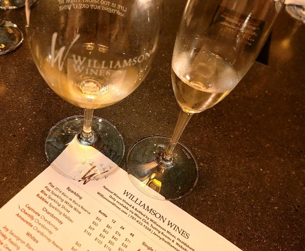 Williamson Wines Tasting Room-希尔兹堡必去景点
